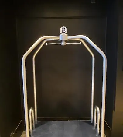 ゴールデン チューリップ ベロ 4*