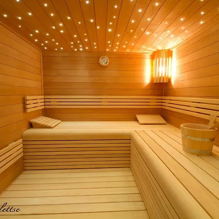 ゴールデン チューリップ ベロ