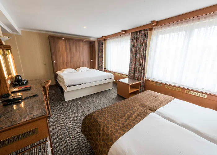 ゴールデン チューリップ ベロ