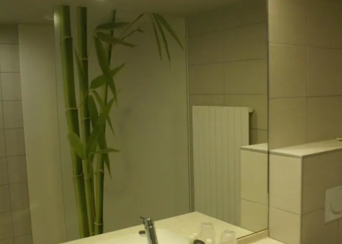 ゴールデン チューリップ ベロ